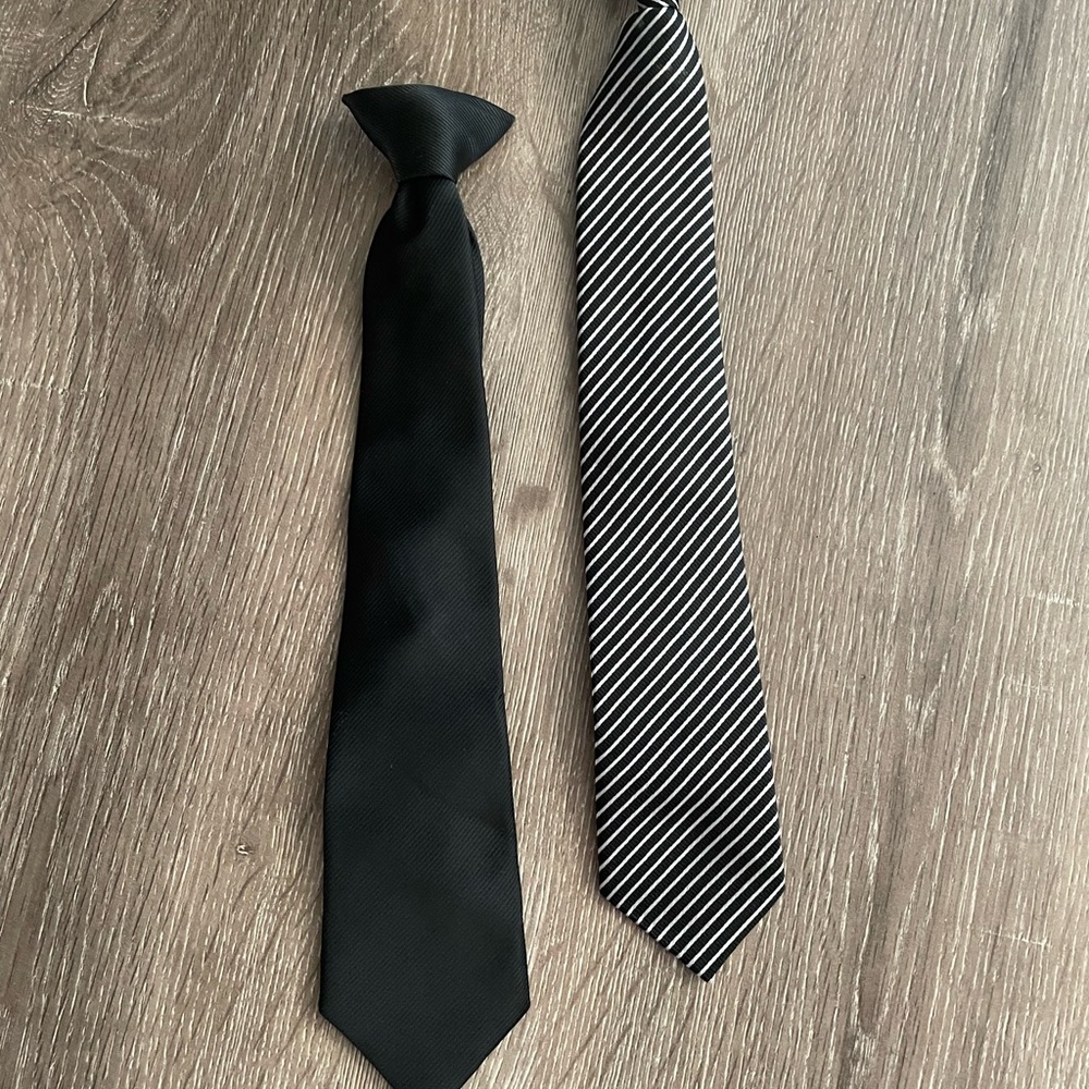 Elegant Black and Striped Clip on Ties